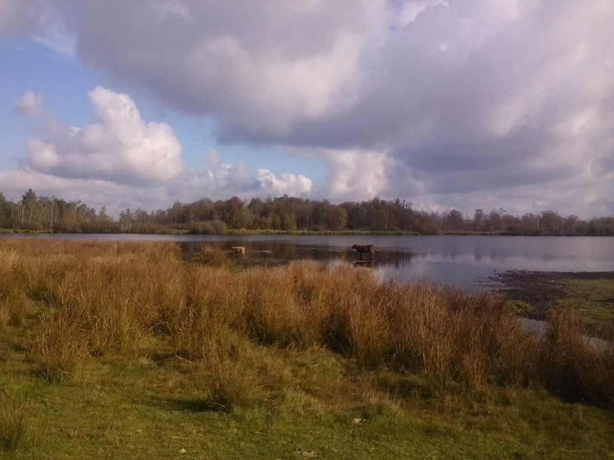 Overeenkomst over uitbreiding Kloosterveen én behoud natuur Fochteloërveen