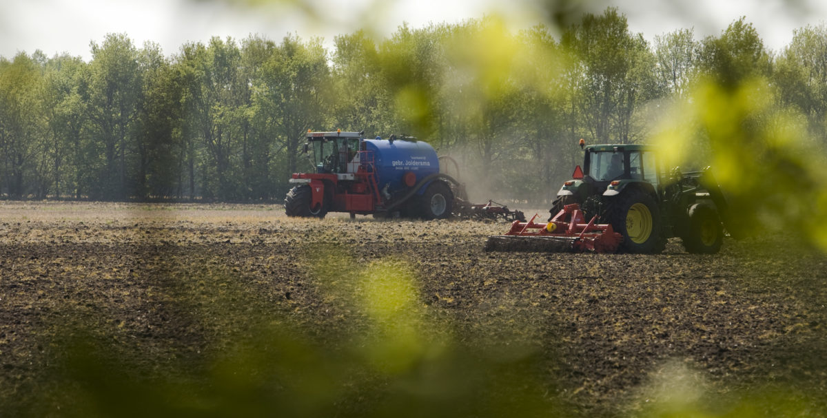 Boer Burger Natuur Drenthe