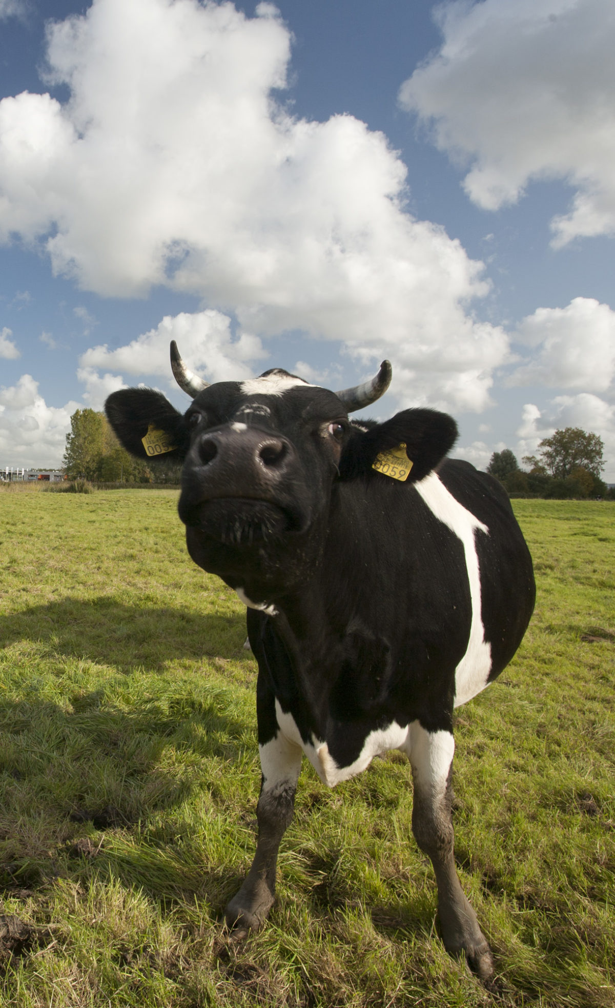 Provincie Drenthe steunt natuurinclusieve landbouw