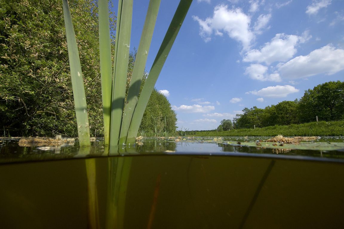 Drenthe is te droog: een oproep aan waterschappen