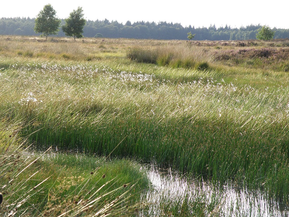 Warmtebedrijven en milieuorganisaties sluiten Warmtepact