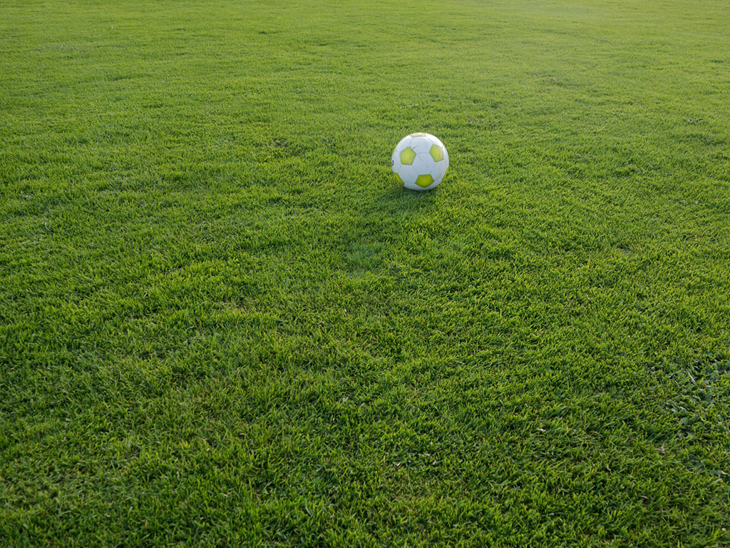 Beheer van sportvelden moet vanaf 2020 zonder bestrijdingsmiddelen