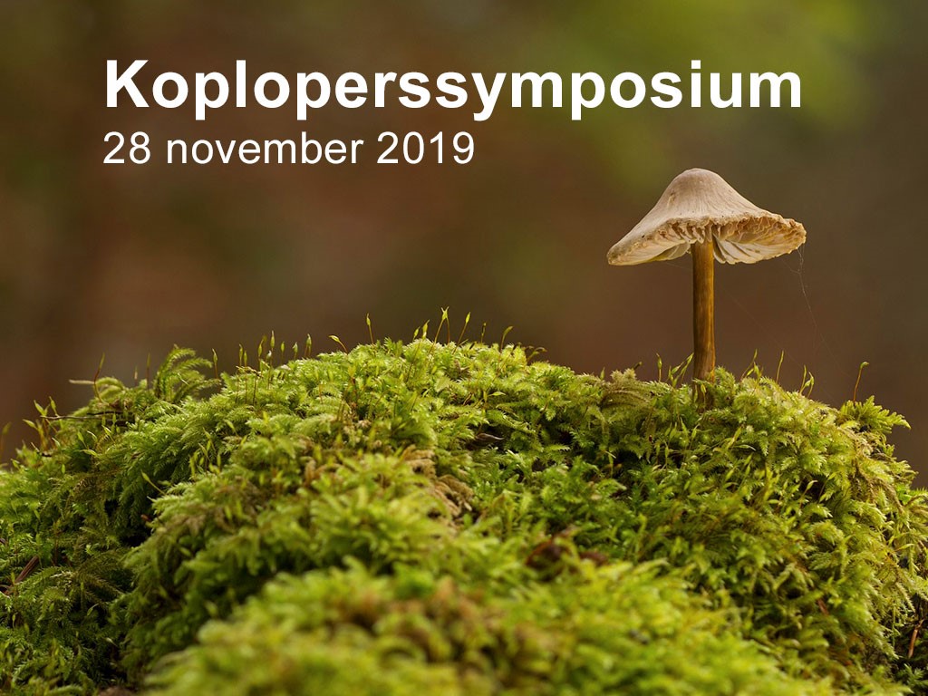 Koploperssymposium Circulaire Businessmodellen in Assen