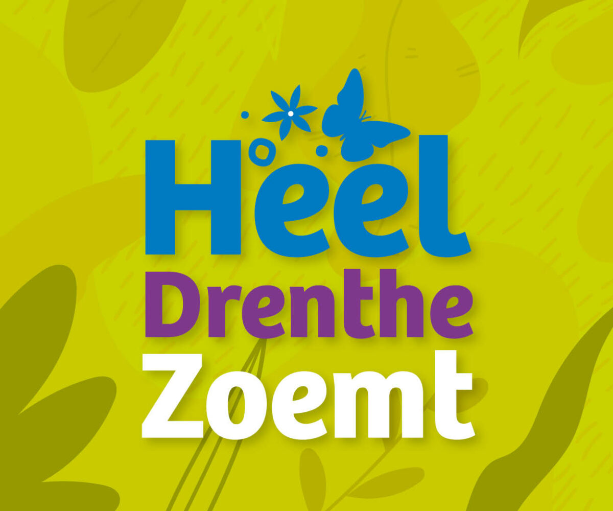 Heel Drenthe Zoemt slaat nieuwe weg in