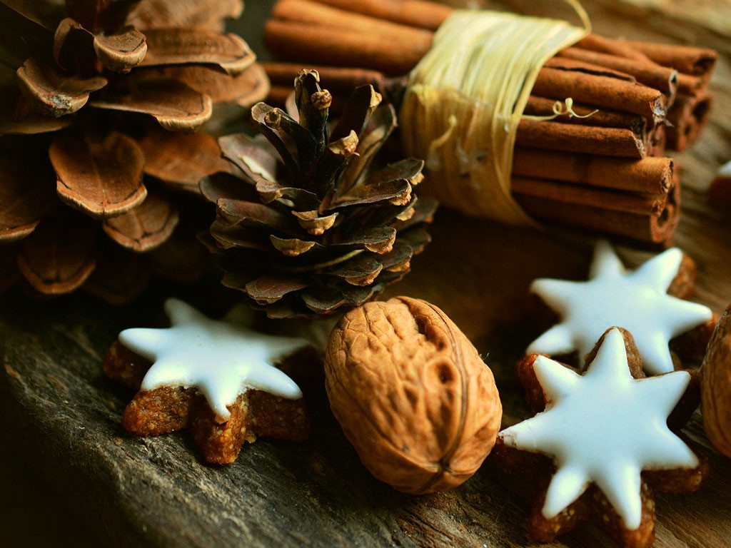 Tips voor een duurzame Drentse kerst van het NMF-team