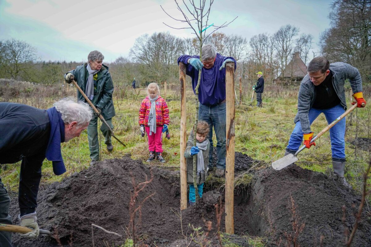 De allereerste bomen Plan Boom geplant