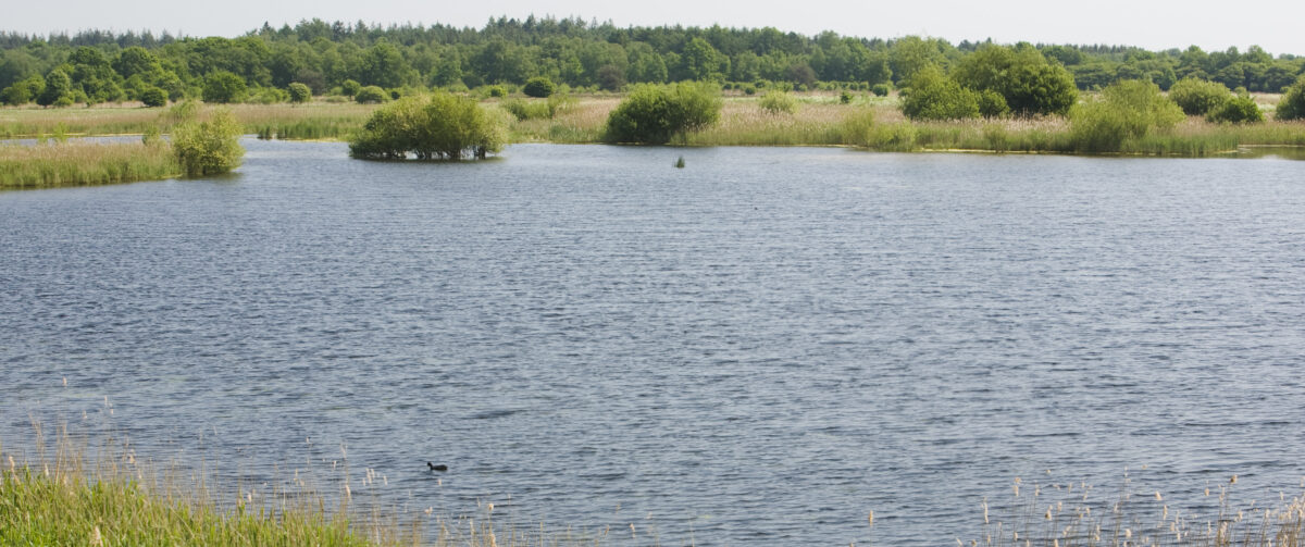 De Europese Waterwet blijft!