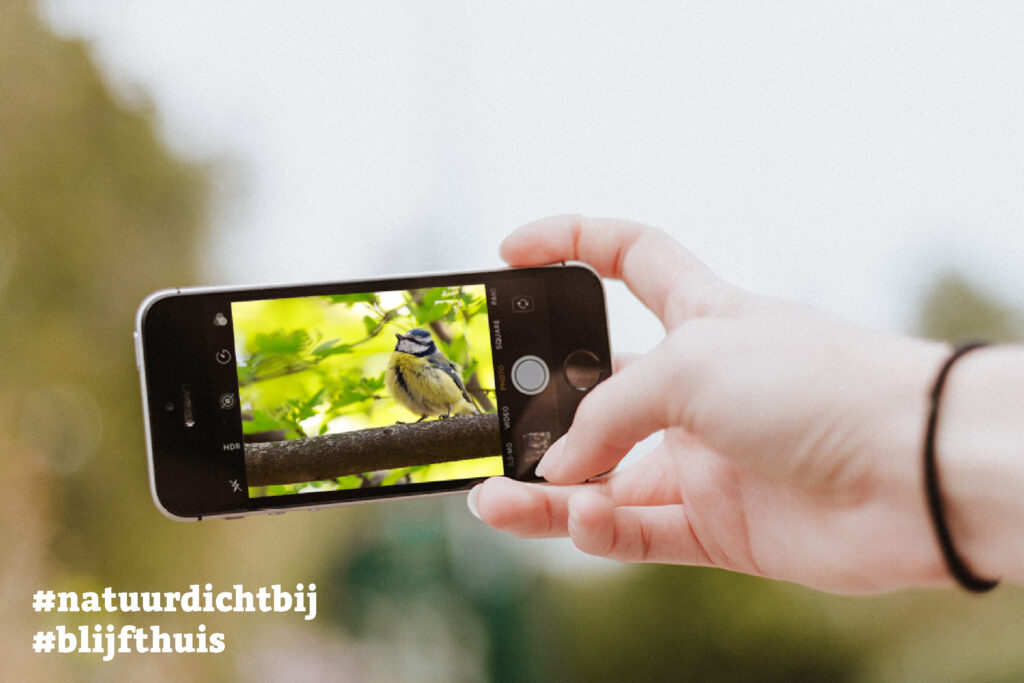 Doe mee met de #natuurdichtbij fotochallenge