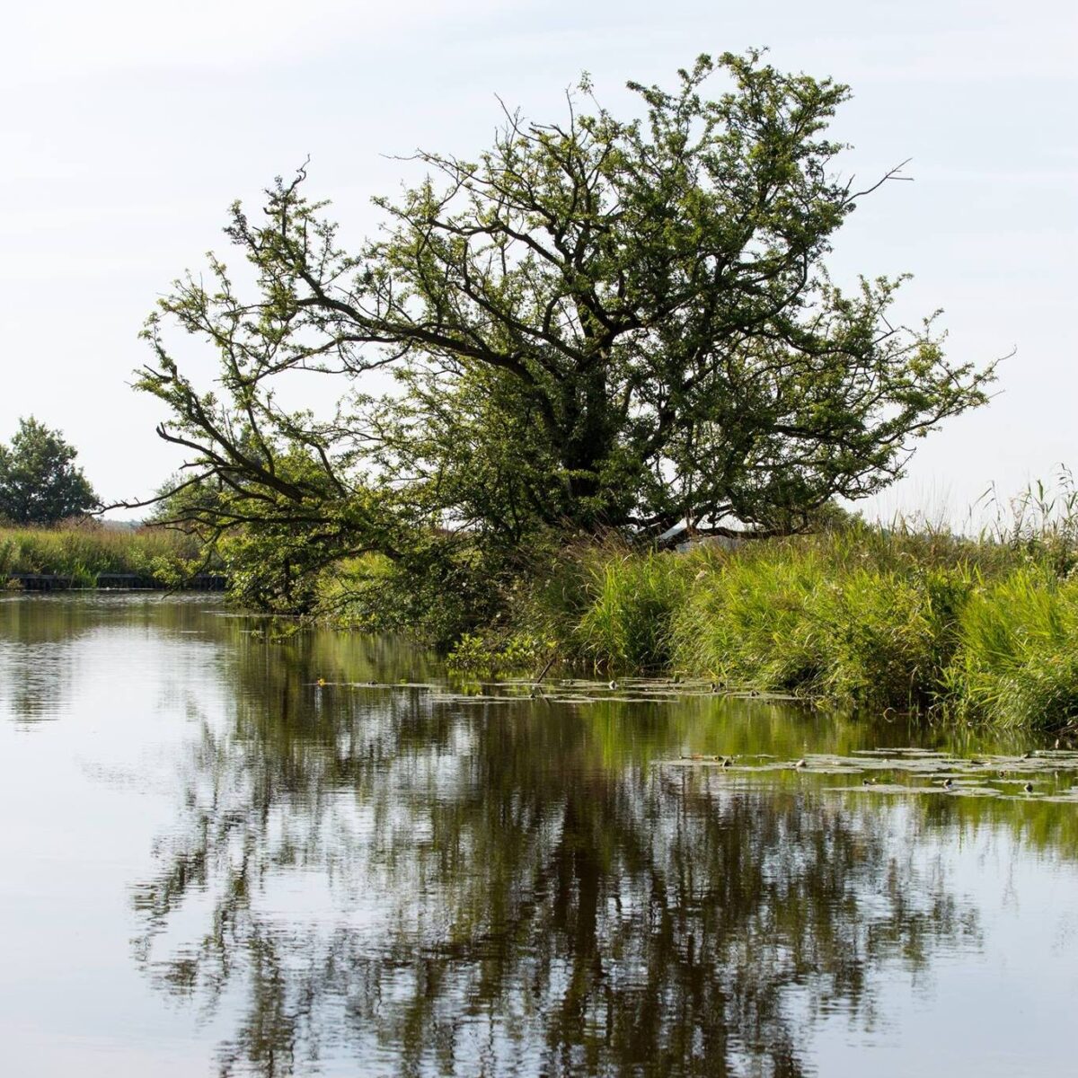 Project Energietransitie en Participatie Drentsche Aa van start