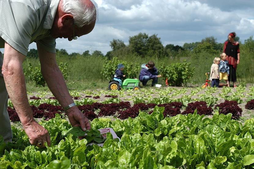 Verslag bijeenkomst Drentse deelinitiatieven