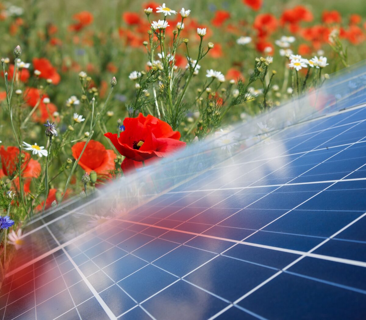 Handreiking: Natuur en landschap verdienen volwaardige plek in de regionale energiestrategieën