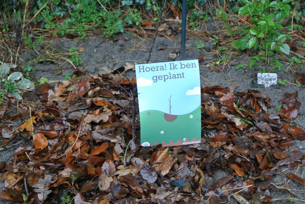 Energiewacht doet ruim 1.000 bomen cadeau