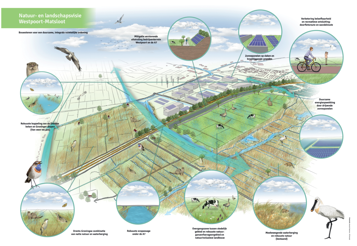 Natuurorganisaties presenteren natuur- en landschapsvisie voor Westpoort-Matsloot