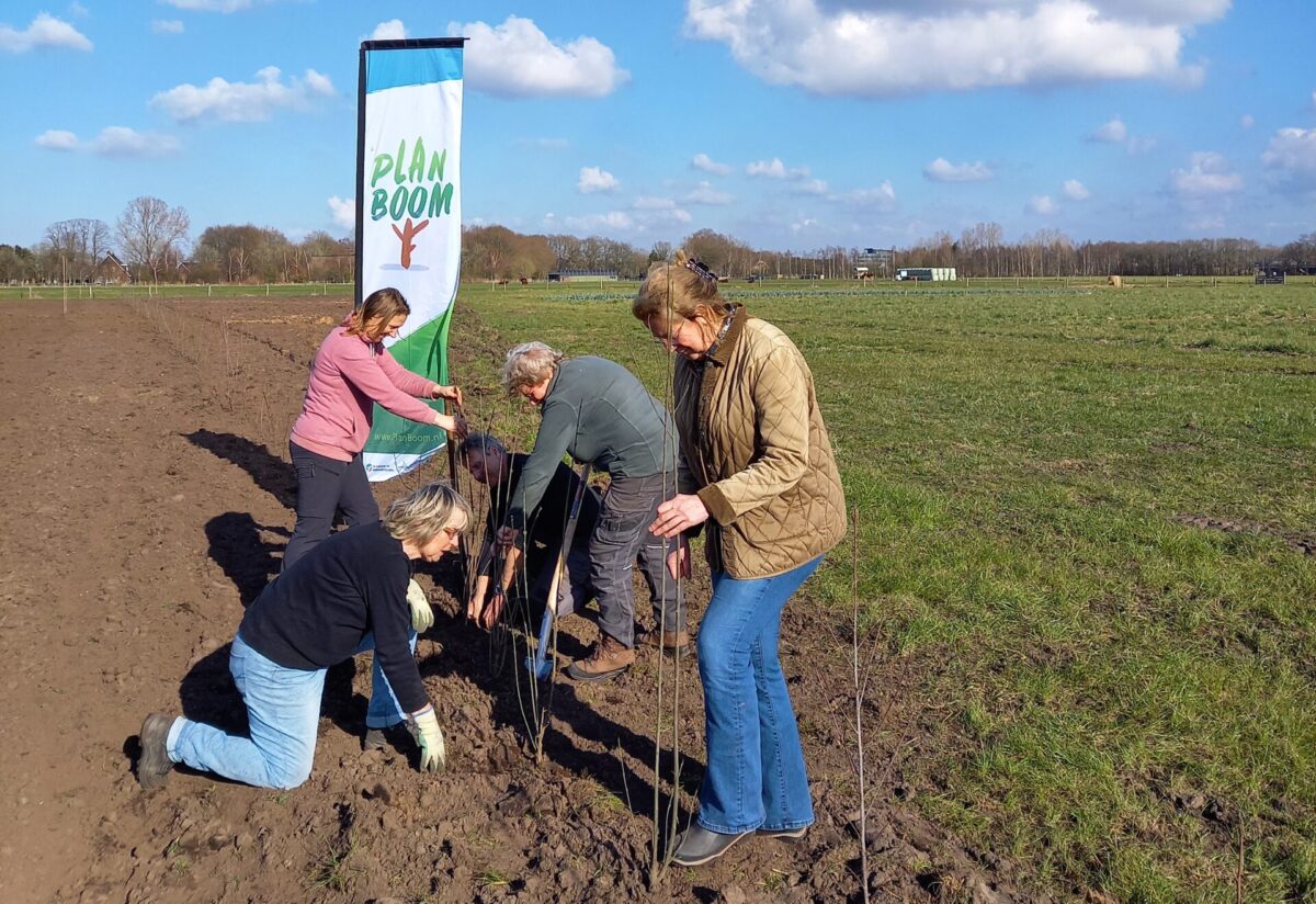 Samen voor een groener Drenthe: ruim 24.000 bomen de grond in!