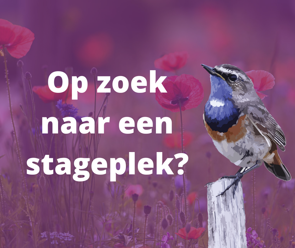 Ben jij onze nieuwe stagiair?