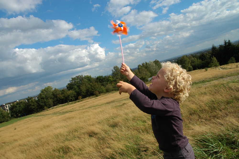 Kind met windmolentje in veld