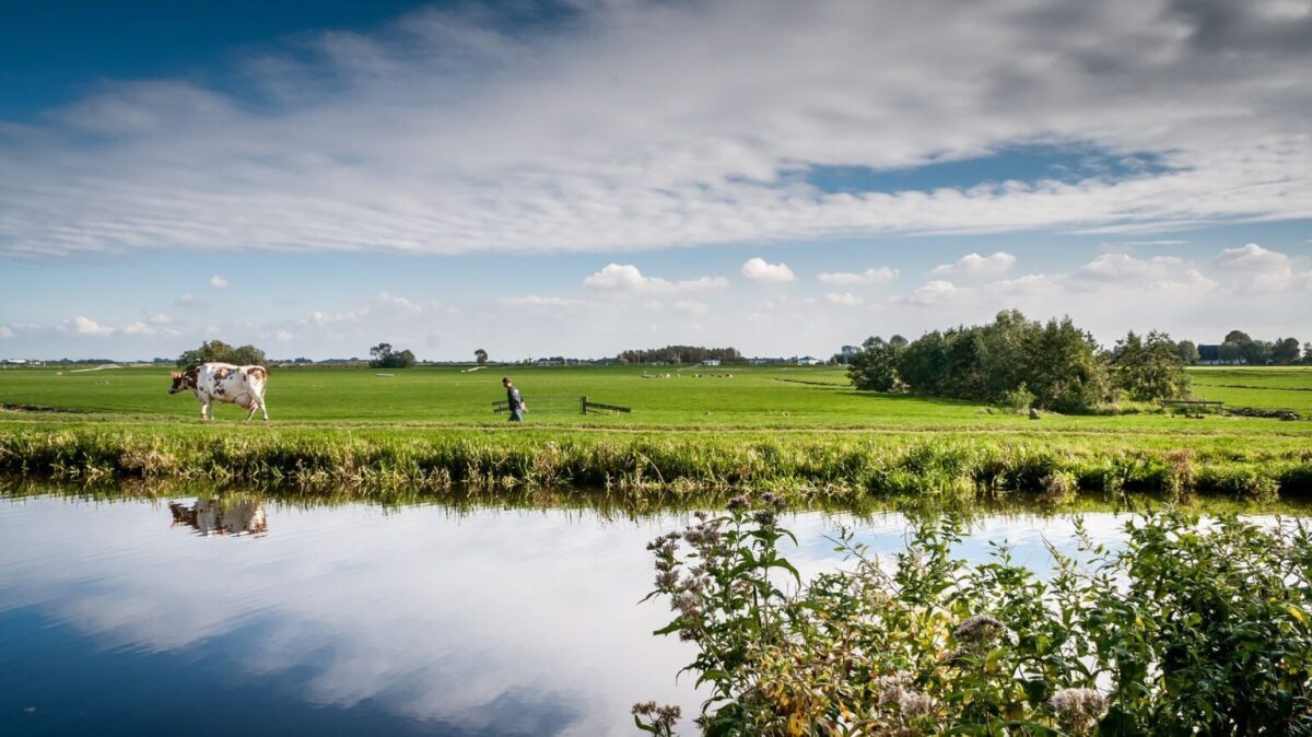 Reactie rapport Remkes: zet samen de schouders eronder om de natuur in Nederland te herstellen