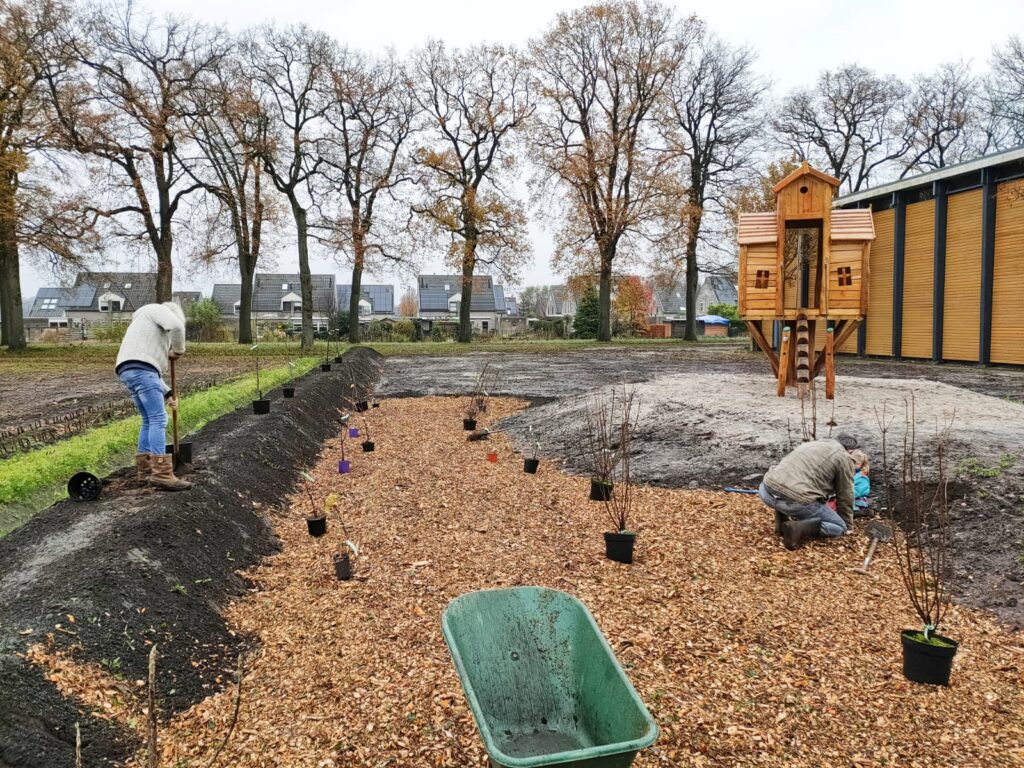 Bij een school in Veenhuizen worden bomen geplant