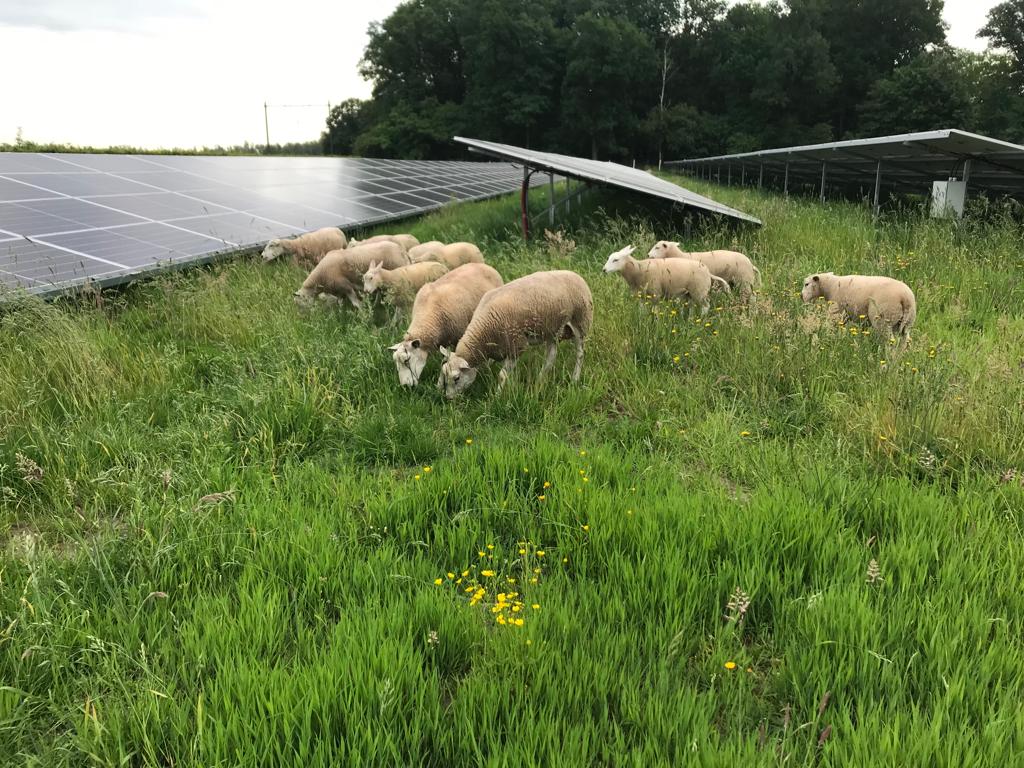 Werk aan de winkel voor het kabinet: zorg dat we de klimaatdoelen wél halen