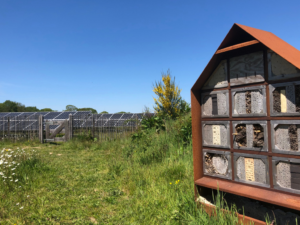 Sfeerbeeld van een energietuin: zonnepanelen en natuur