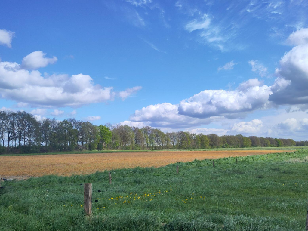 Waarom kleurt Drenthe nu al oranje?