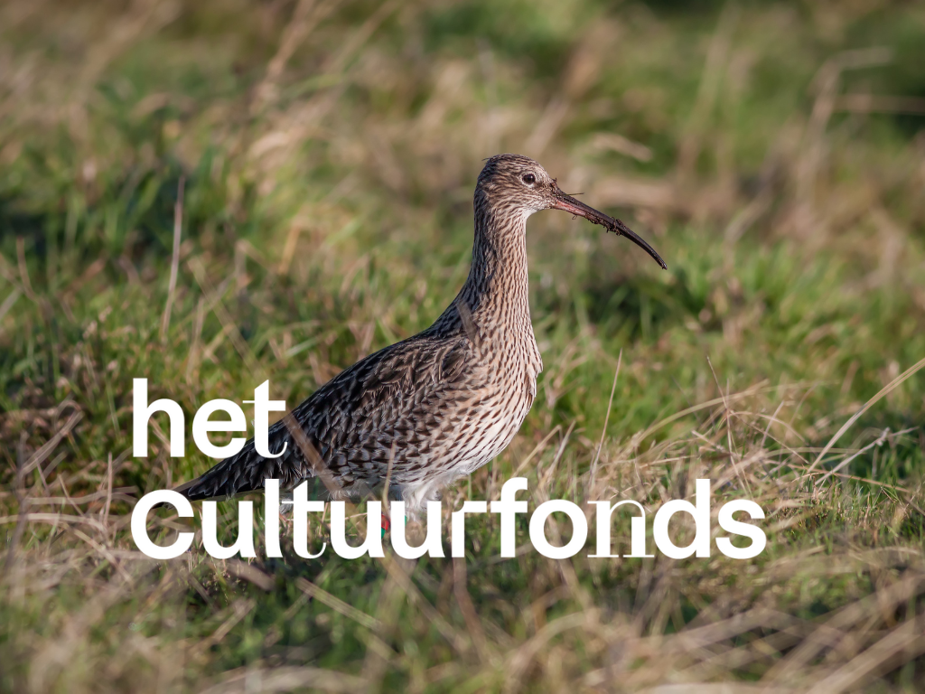 Cultuurfonds Drenthe ondersteunt graag meer natuurprojecten