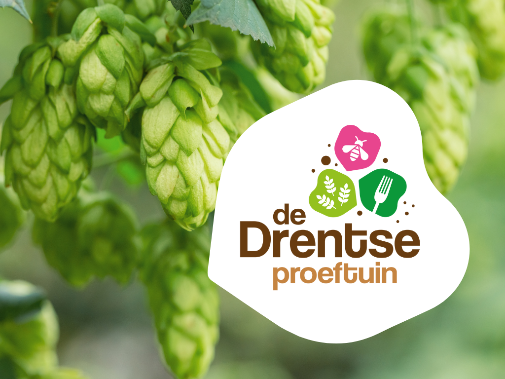 De Drentse proeftuin