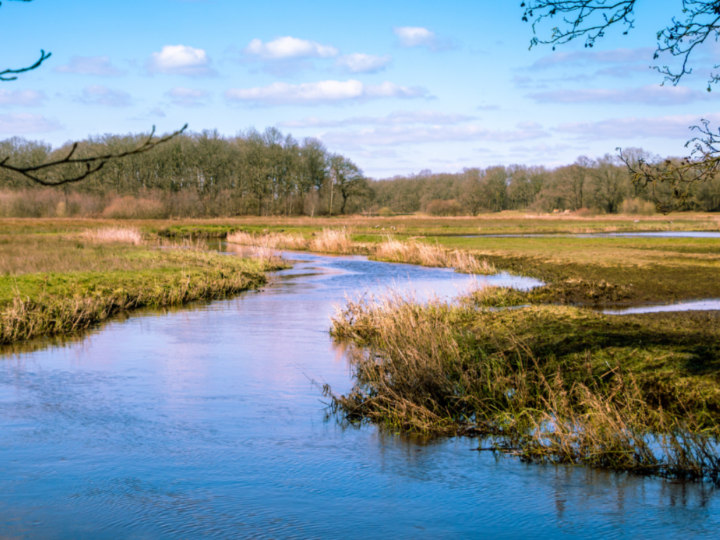 7 feb - Inspiratiemiddag Water Drentsche Aa: 'de Waarde van Water'