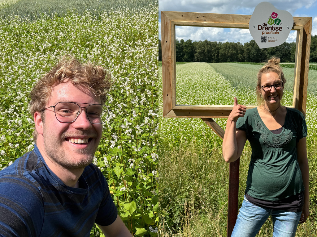 Winactie: ga op boekweitjacht in Drenthe