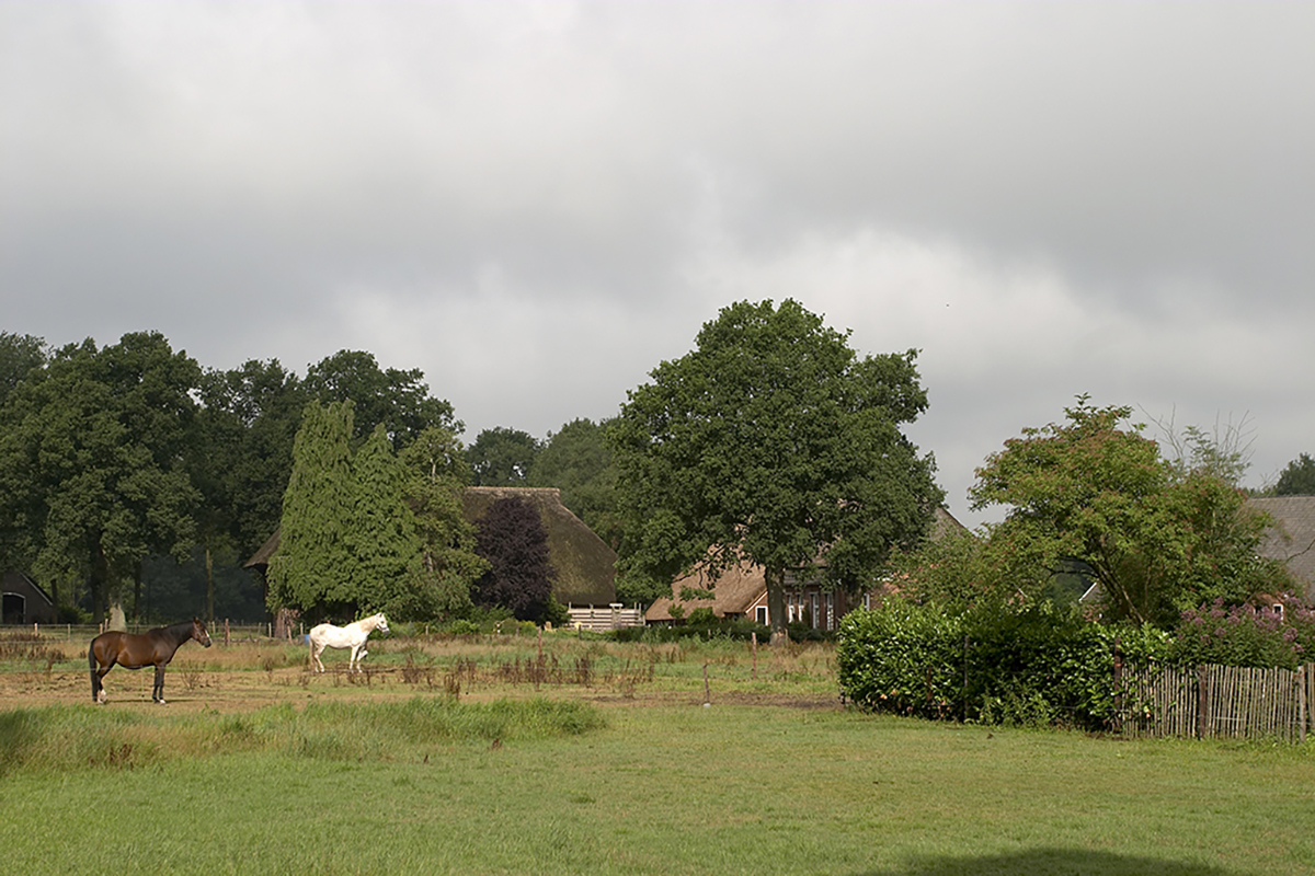 Uitnodiging Inspiratiemiddag ‘Agroforestry op je particuliere of boerenerf’