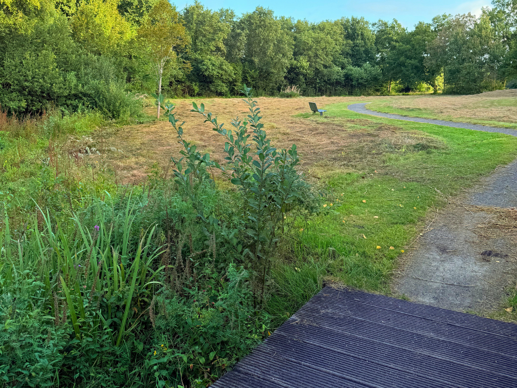 Westerborkers werken aan nieuw ‘Plukpark Börk’ 