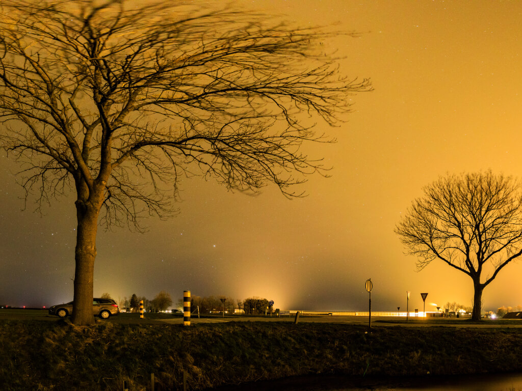 6 op de 10 Nederlanders willen het donker terug: lichtvervuiling verstoort nachtdieren en onze gezondheid