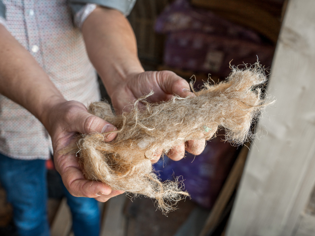 Webinar over biobased isoleren op maandag 9 februari