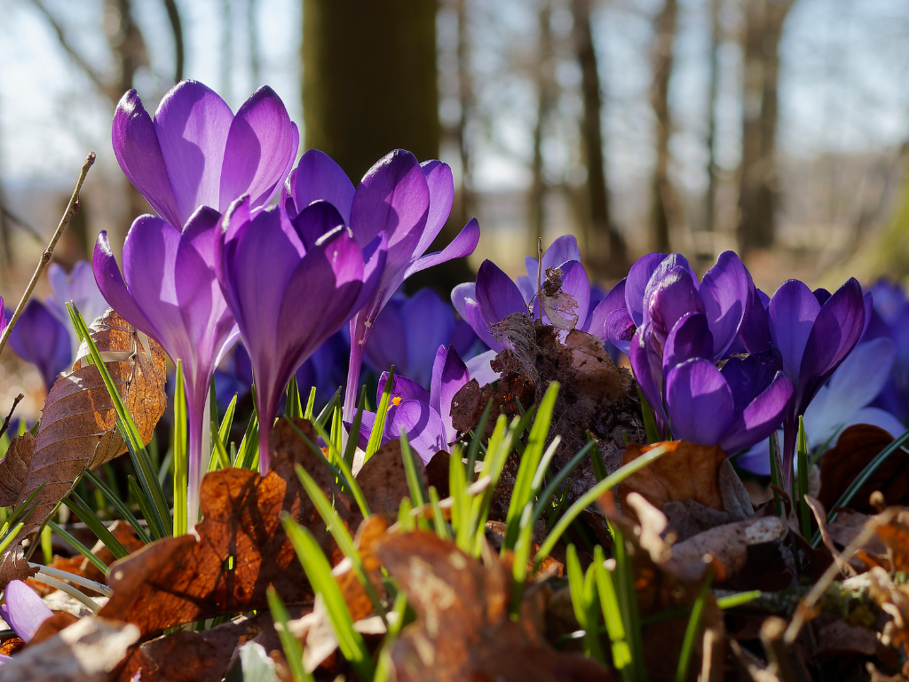 NMF Drenthe podium 6 maart: ‘Ruimte voor de Toekomst’ 