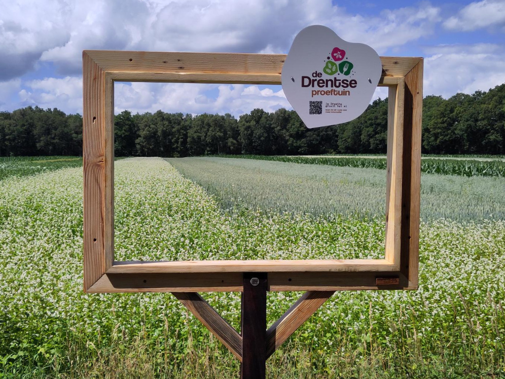 Oproep aan gemeentebesturen: Stimuleer duurzaam voedsel uit eigen streek