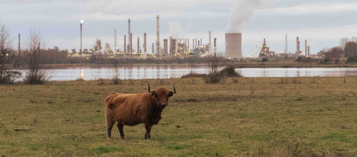 Rechter wijst eisen in PFAS‑zaak af
