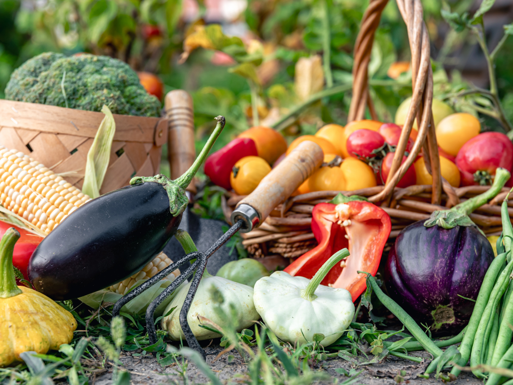 Voedsel verbindt ons als gemeenschap