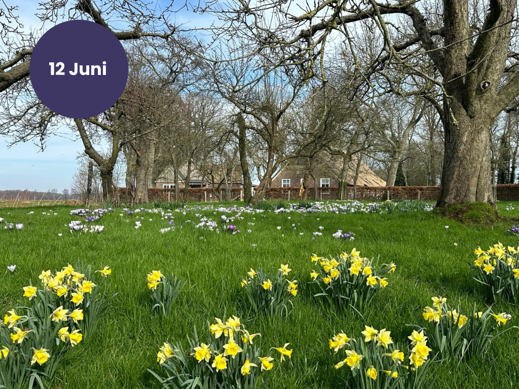 Inspiratiemiddag 12 juni  - Kruidenrijk Drentsche Aa: ontdekken, begrijpen en beleven