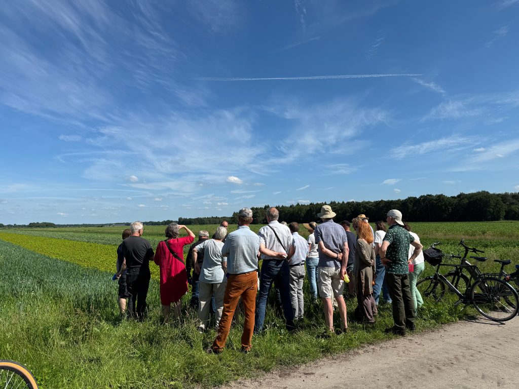 Boekweit: goed voor boer, bij en bord