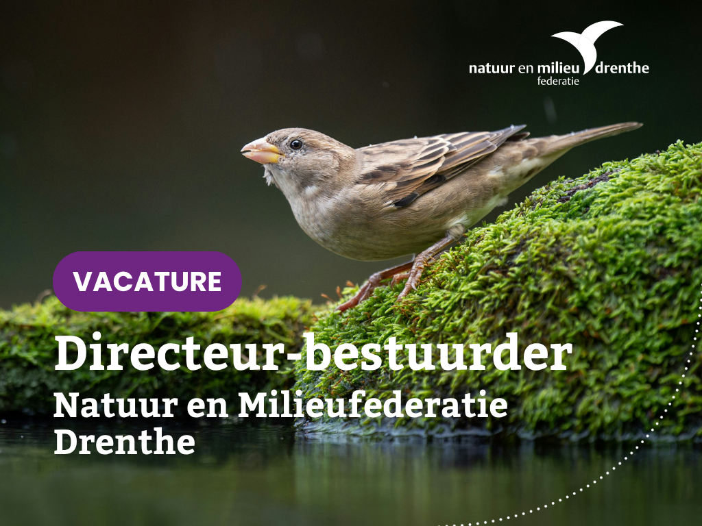 Let op: gesloten! Vacature Directeur-bestuurder NMF Drenthe