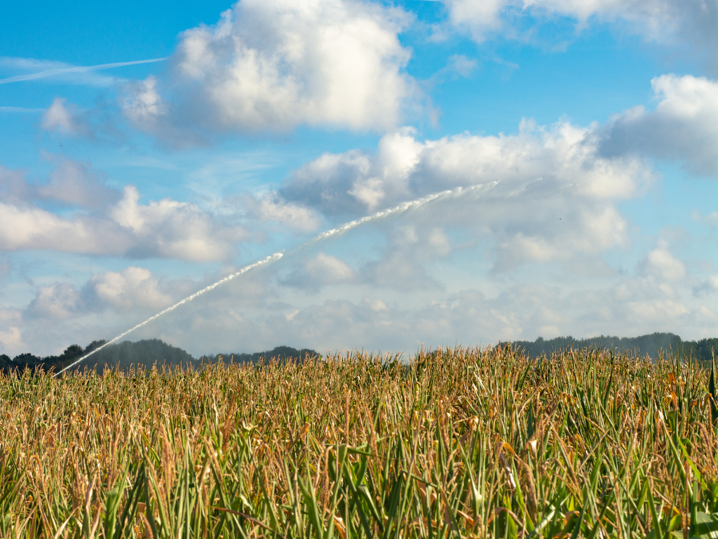 Droogte vraagt daadkracht voor Drents Deltaplan Water