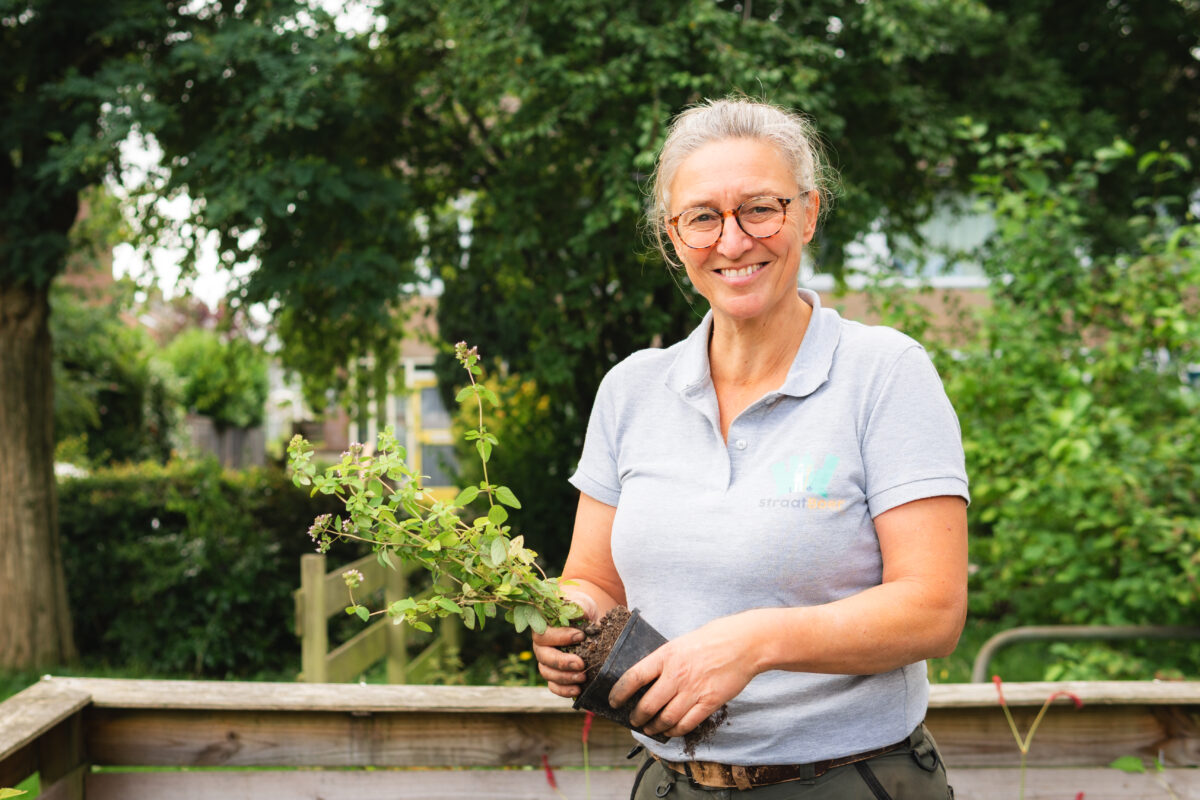 Van eigen tuin naar groene buurt: Straatboer zoekt planten in Assen