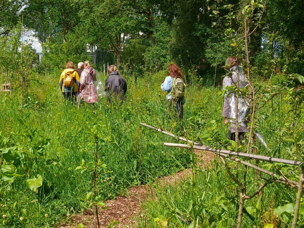 Van bewonersgroep naar Drents netwerk: veel klein maakt één groot!